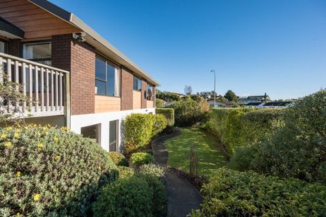 Photo of property in 45 Churchill Avenue, Richmond, 7020