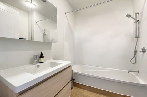 Photo of property in Aniva Terrace, 14 Ferguson Street, Newtown, Wellington, 6021