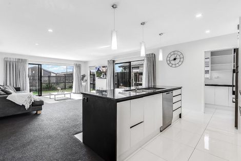 Photo of property in 38 Probert Crescent, Chartwell, Hamilton, 3210