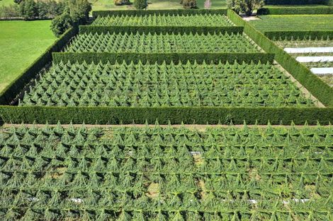 Photo of property in 121 Macdonald Road, Te Teko, Whakatane, 3192