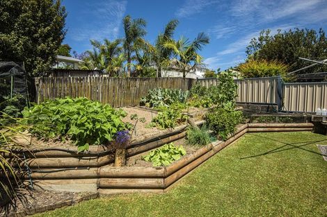 Photo of property in 35 Yorke Road, Haruru, 0204