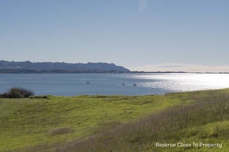 Photo of property in 33 Princes Street, Tahawai, Katikati, 3170