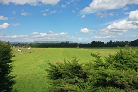 Photo of property in 85 George Street, Edendale, 9825