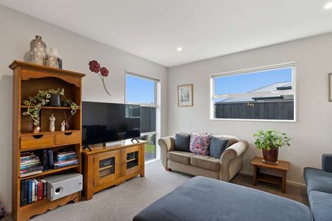 Photo of property in 20 Pelham Place, Lincoln, 7608