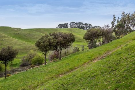 Photo of property in 48 Norsewood Ormondville Road, Norsewood, 4974