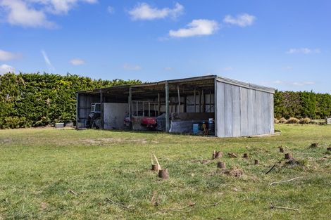 Photo of property in 113 Lilly Road, Fernside, Rangiora, 7471