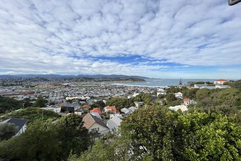 Photo of property in 53 Sutherland Road, Melrose, Wellington, 6023