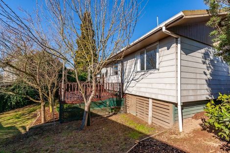 Photo of property in 203 Taharepa Road, Tauhara, Taupo, 3330