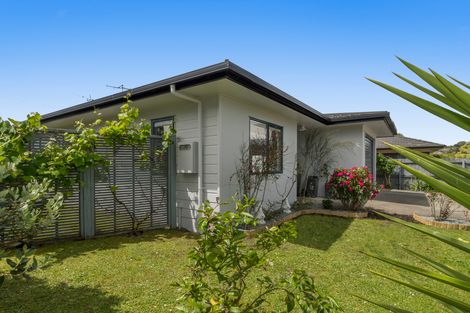 Photo of property in 64 Solomon Street, Brookfield, Tauranga, 3110