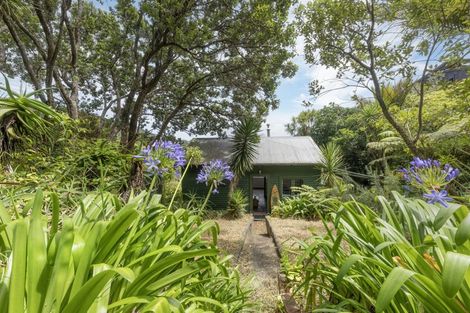 Photo of property in 58 Seaview Road, Piha, 0772