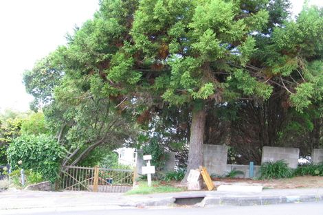 Photo of property in 19 Mawson Avenue, Torbay, Auckland, 0630