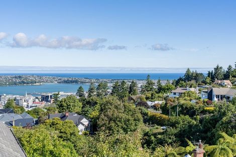 Photo of property in 18 Selkirk Street, Roslyn, Dunedin, 9010