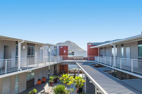 Photo of property in Algarve Apartments, 109/332 Maunganui Road, Mount Maunganui, 3116