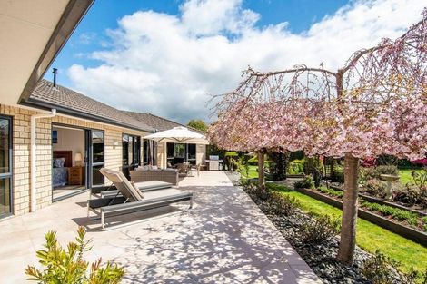 Photo of property in 6 Jason Place, Pyes Pa, Tauranga, 3112