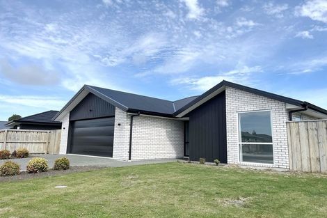 Photo of property in 8 Clare Street, Woodend, 7610