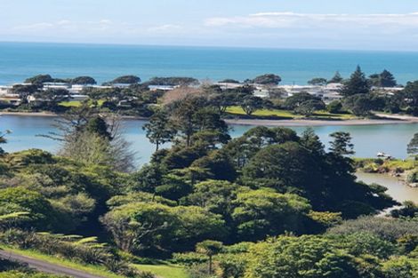 Photo of property in 12 Dowman Street, Urenui, 4375