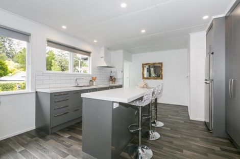 Photo of property in 20 Tokomaru Drive, Havelock North, 4130