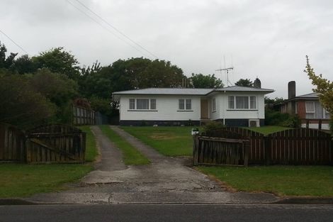 Photo of property in 48 Totara Street, Putaruru, 3411
