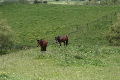 Photo of property in 272 Rotongaro Road, Rotongaro, Huntly, 3772