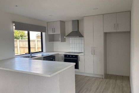 Photo of property in 446a Wilsons Road, Waltham, Christchurch, 8011