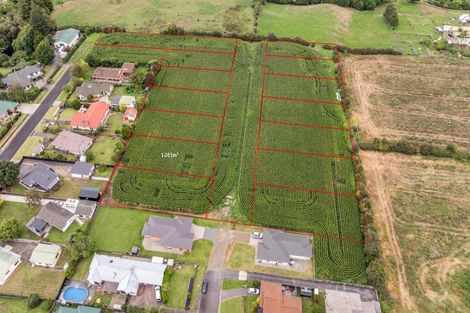 Photo of property in 20 Coolen Place, Tuakau, 2121