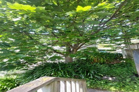 Photo of property in 25 Ohiro Road, Aro Valley, Wellington, 6021