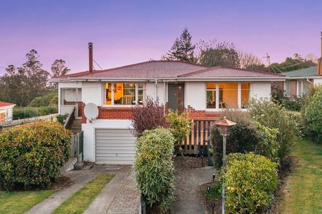 Photo of property in 33 Statham Street, Brockville, Dunedin, 9011