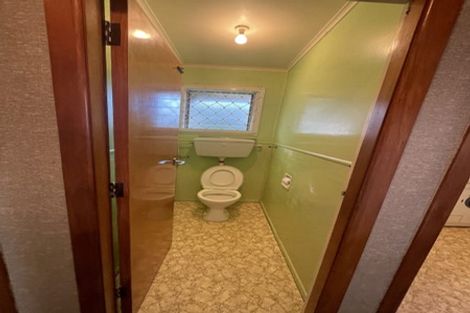 Photo of property in 8 Kohekohe Street, New Lynn, Auckland, 0600