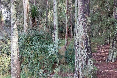 Photo of property in 59 Griffin Road, Maungaturoto, 0583