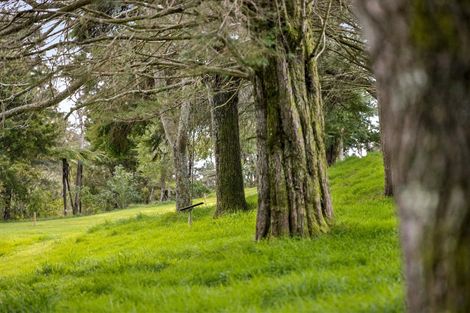 Photo of property in 263 Sunnyside Road, Coatesville, 0793