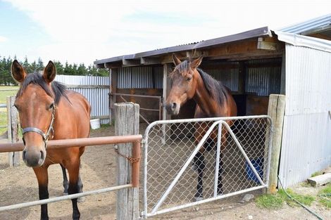 Photo of property in 8 Plachatsh Lane, Oxford, 7430