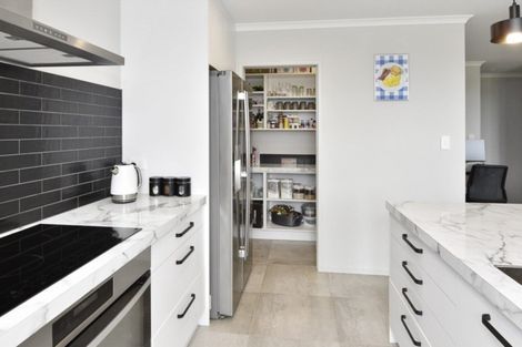 Photo of property in 49 Te Ara Aukati Terrace, Pokeno, 2471