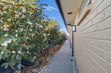 Photo of property in 12 Hamlett Drive, Woodend, 7610