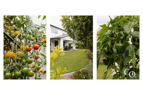 Photo of property in 26 Applin Lane, Pyes Pa, Tauranga, 3112