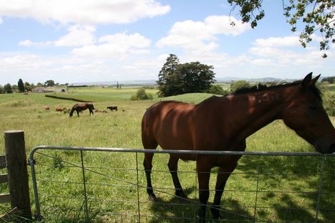 Photo of property in 272 Rotongaro Road, Rotongaro, Huntly, 3772