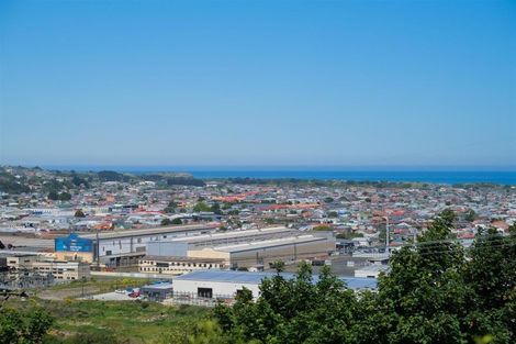 Photo of property in 16 Forfar Street, Clyde Hill, Dunedin, 9011