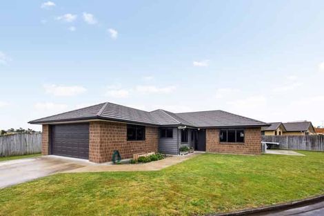 Photo of property in 30 Kawariki Drive, Baverstock, Hamilton, 3200