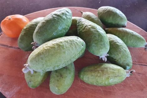 Photo of property in 17 Rangihiroa Street, Waikanae Beach, Waikanae, 5036