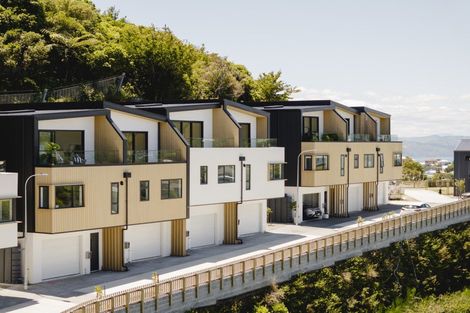 Photo of property in 115 Tiketike Way, Brooklyn, Wellington, 6021