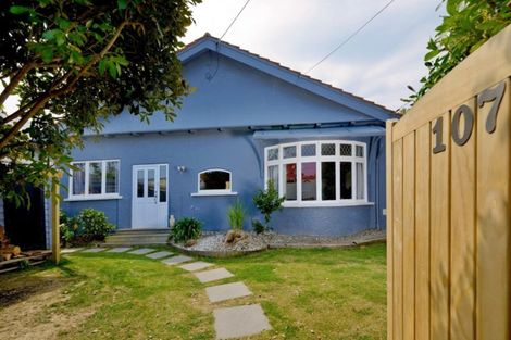 Photo of property in 107 Hargest Crescent, Saint Clair, Dunedin, 9012