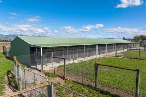 Photo of property in 519 Old Renwick Road, Springlands, Blenheim, 7272