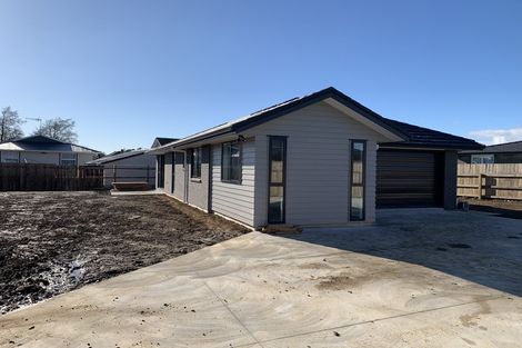 Photo of property in 98 Hinemoa Street, Levin, 5510