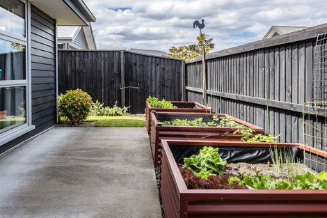 Photo of property in 2 Payne Court, Rangiora, 7400