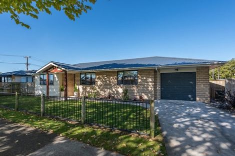 Photo of property in 160 Cambridge Street, Levin, 5510