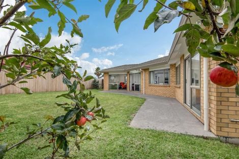 Photo of property in 46 Robert Ross Place, Clendon Park, Auckland, 2103