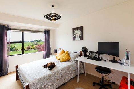 Photo of property in 279 Tararua Road, Levin, 5571