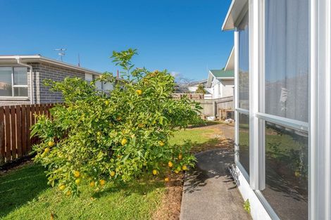 Photo of property in 53 Liverpool Street, Levin, 5510