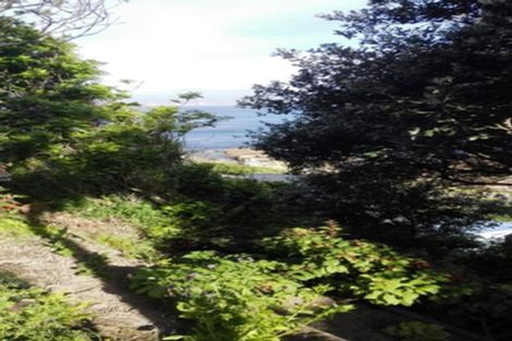 Photo of property in 166 The Esplanade, Houghton Bay, Wellington, 6023