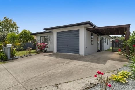 Photo of property in 64 Solomon Street, Brookfield, Tauranga, 3110