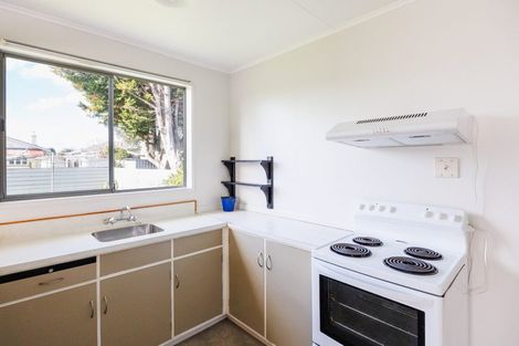 Photo of property in 101 Shamrock Street, Takaro, Palmerston North, 4412